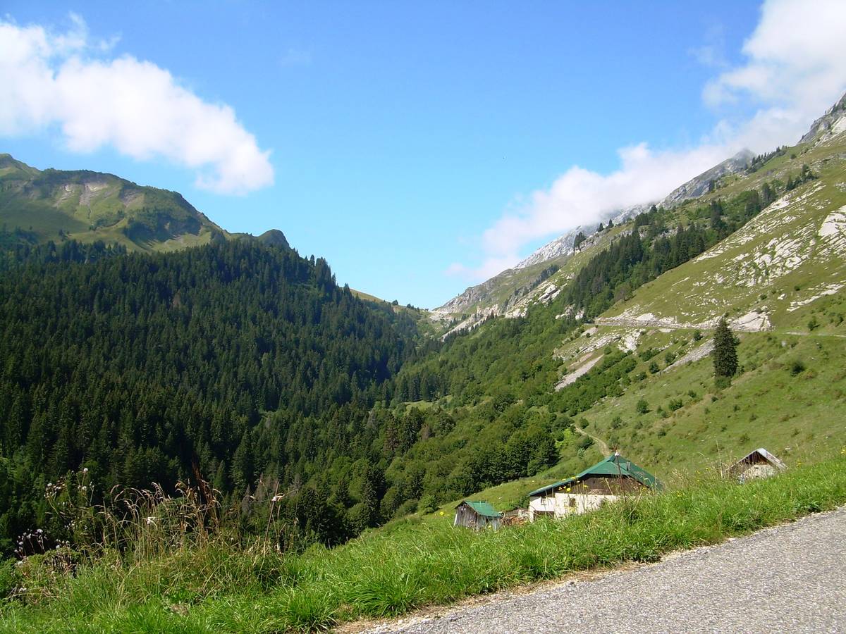Florent Ligney - Col de la Colombiere par Scionzier