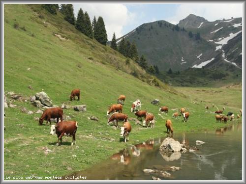 Jo�l DELOUX - Col de Joux Plane par Samoens