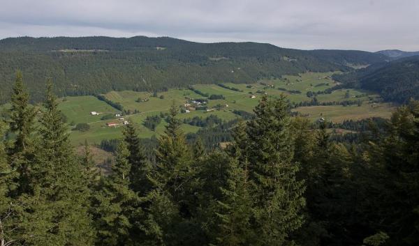 Jean-David Mombert - Col de la Faucille par Mijoux