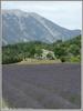 Martin SWART - Mont Ventoux par Sault