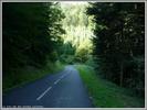 Nicolas SYLVESTRE - Col de Marie Blanque par Escot