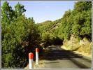 Maurice RIGOLLET - Pic de Nore par Villeneuve Minervois