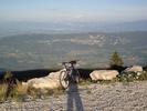 vincent B - Col du Grand Colombier par Artemare