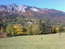 noel bodina - Col du Cucheron par Saint Pierre d'Entremont