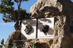 DANY JANISHON - Col de l'Izoard par Brian�on