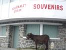marco33 - Col du Tourmalet par Luz Saint Sauveur