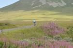 GUILLAUME MENORET - Col de la Croix Saint Robert par Murol