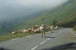 bigpilou - Col du Tourmalet par Luz Saint Sauveur