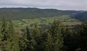 Jean-David Mombert - Col de la Faucille par Mijoux