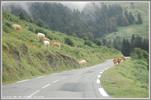 Fabien M�lotte - Col d'Aspin par Bagneres de Bigorre