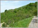 Nicolas SYLVESTRE - Col de Port par Massat